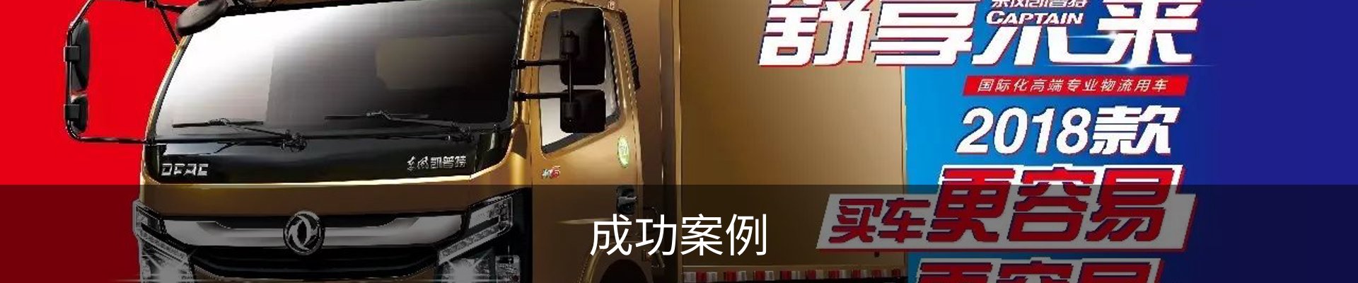 成功案例